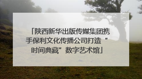 陕西新华出版传媒集团携手保利文化传播公司打造“时间典藏”数字艺术馆