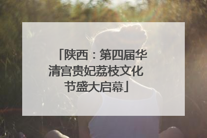 陕西：第四届华清宫贵妃荔枝文化节盛大启幕