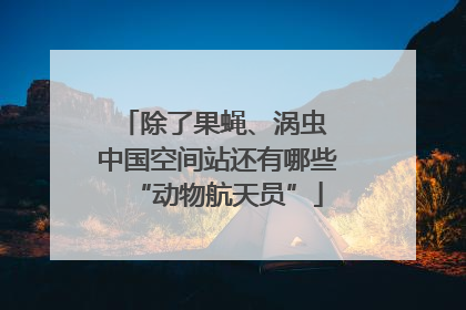 除了果蝇、涡虫 中国空间站还有哪些“动物航天员”