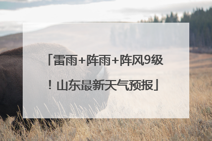 雷雨+阵雨+阵风9级！山东最新天气预报