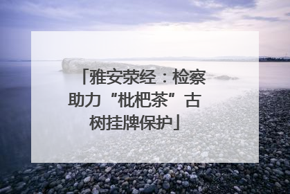 雅安荥经：检察助力“枇杷茶”古树挂牌保护
