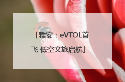 雅安：eVTOL首飞 低空文旅启航
