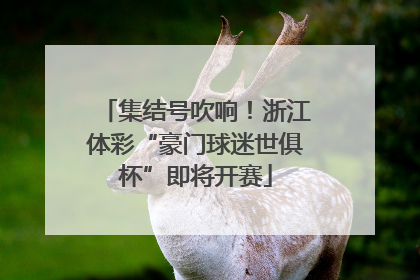 集结号吹响！浙江体彩“豪门球迷世俱杯”即将开赛