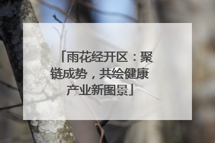 雨花经开区：聚链成势，共绘健康产业新图景