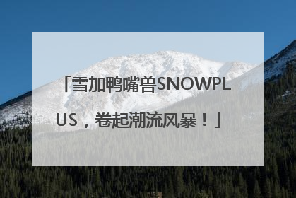 雪加鸭嘴兽SNOWPLUS，卷起潮流风暴！