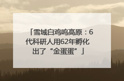 雪域白鸡鸣高原：6代科研人用62年孵化出了“金蛋蛋”