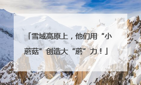 雪域高原上，他们用“小蘑菇”创造大“蘑”力！