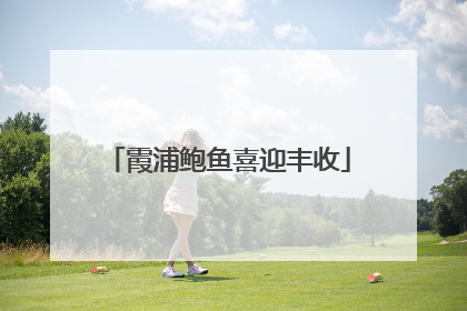 霞浦鲍鱼喜迎丰收