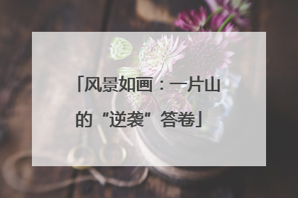 风景如画：一片山的“逆袭”答卷