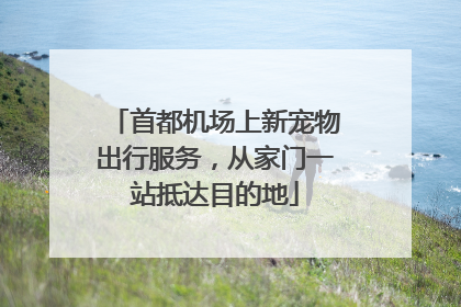 首都机场上新宠物出行服务，从家门一站抵达目的地