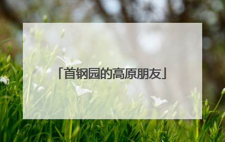 首钢园的高原朋友
