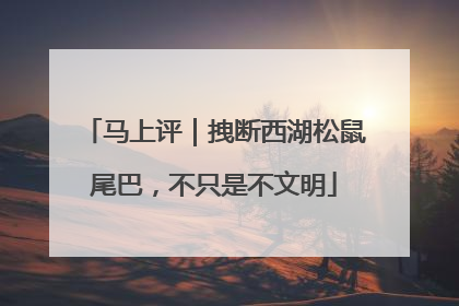 马上评｜拽断西湖松鼠尾巴，不只是不文明