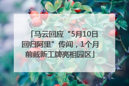 马云回应“5月10日回归阿里”传闻，1个月前戴新工牌亮相园区