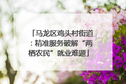 马龙区鸡头村街道：精准服务破解“两栖农民”就业难题