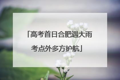 高考首日合肥遇大雨 考点外多方护航