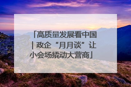 高质量发展看中国｜政企“月月谈”让小会场撬动大营商