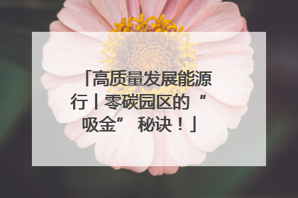高质量发展能源行丨零碳园区的“吸金” 秘诀！