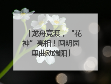 龙舟竞渡，“花神”亮相！圆明园里曲动端阳