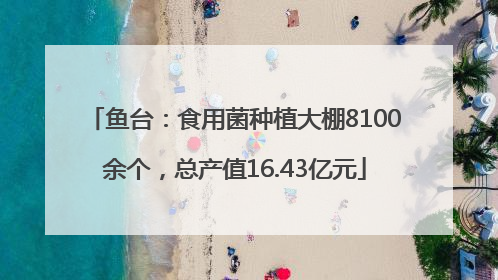 鱼台：食用菌种植大棚8100余个，总产值16.43亿元