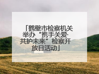 鹤壁市检察机关举办“携手关爱·共护未来”检察开放日活动