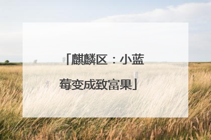 麒麟区：小蓝莓变成致富果