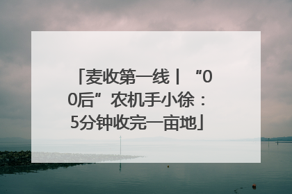 麦收第一线丨“00后”农机手小徐：5分钟收完一亩地