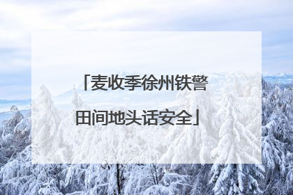 麦收季徐州铁警田间地头话安全