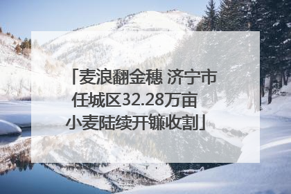 麦浪翻金穗 济宁市任城区32.28万亩小麦陆续开镰收割