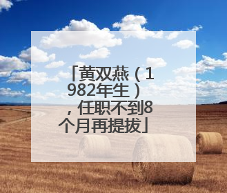 黄双燕（1982年生），任职不到8个月再提拔