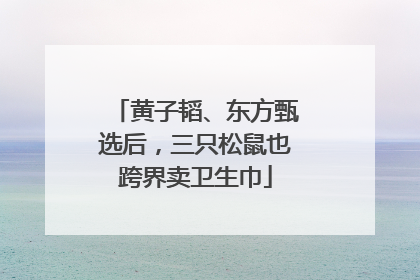 黄子韬、东方甄选后，三只松鼠也跨界卖卫生巾