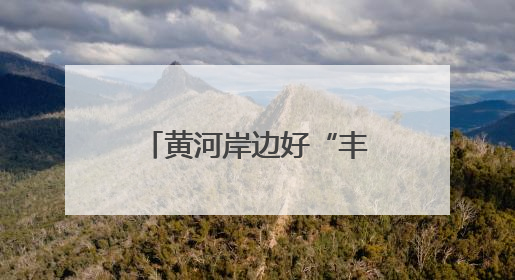 黄河岸边好“丰”景——合阳县特色农业养成记