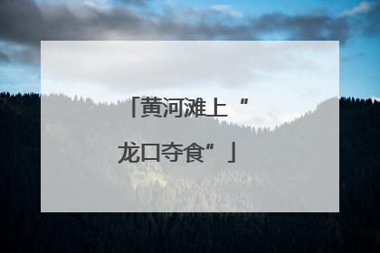 黄河滩上“龙口夺食”