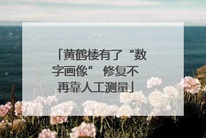 黄鹤楼有了“数字画像” 修复不再靠人工测量