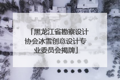 黑龙江省勘察设计协会冰雪创意设计专业委员会揭牌