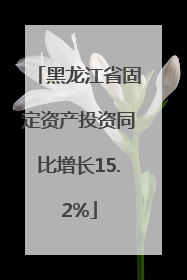 黑龙江省固定资产投资同比增长15.2%