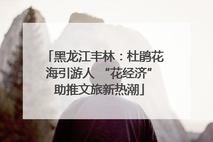 黑龙江丰林：杜鹃花海引游人 “花经济”助推文旅新热潮