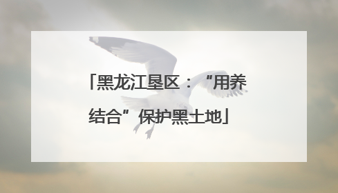 黑龙江垦区：“用养结合”保护黑土地