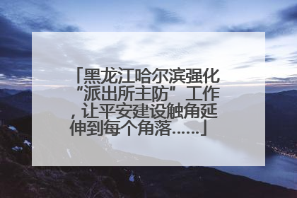 黑龙江哈尔滨强化“派出所主防”工作，让平安建设触角延伸到每个角落……
