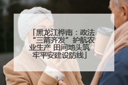 黑龙江桦南：政法“三箭齐发”护航农业生产 田间地头筑牢平安建设防线