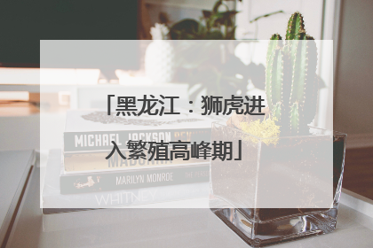 黑龙江：狮虎进入繁殖高峰期