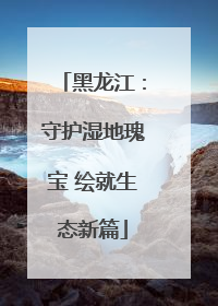黑龙江：守护湿地瑰宝 绘就生态新篇