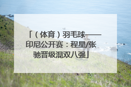 （体育）羽毛球——印尼公开赛：程星/张驰晋级混双八强