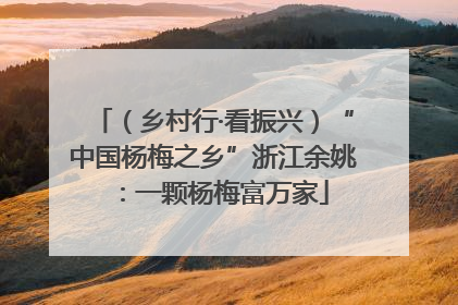 （乡村行·看振兴）“中国杨梅之乡”浙江余姚：一颗杨梅富万家