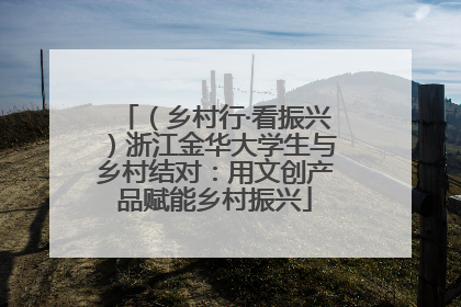 （乡村行·看振兴）浙江金华大学生与乡村结对：用文创产品赋能乡村振兴