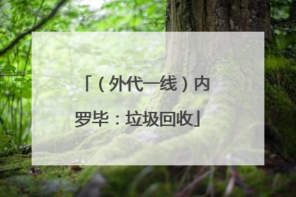 （外代一线）内罗毕：垃圾回收