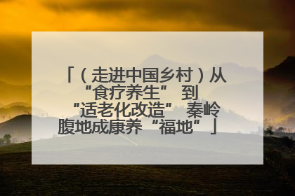 （走进中国乡村）从 “食疗养生” 到 “适老化改造” 秦岭腹地成康养“福地”
