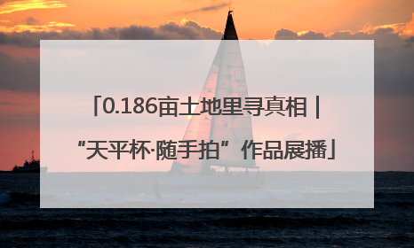 0.186亩土地里寻真相｜“天平杯·随手拍”作品展播