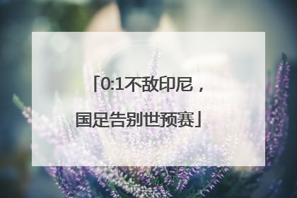 0:1不敌印尼，国足告别世预赛