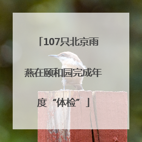 107只北京雨燕在颐和园完成年度“体检”