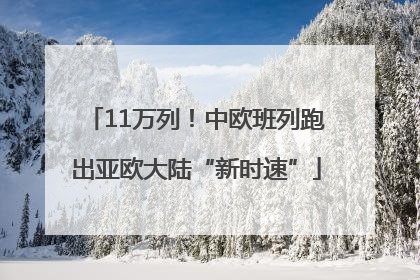 11万列！中欧班列跑出亚欧大陆“新时速”